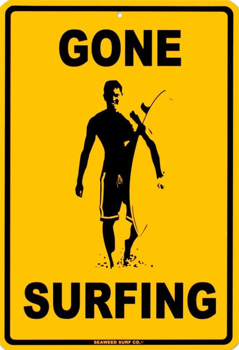 4K Video CameraoGone Surfing Tin SignF...
