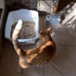 Stainless Steel Cat Litter Scoop with Holder Stand, Heavy Duty and Easy Clean...