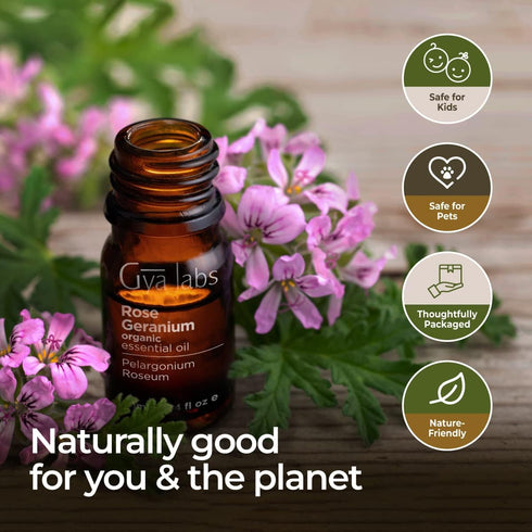 Gya Labs Organic Rose Geranium Essential Oil for Skin - Organic Geranium Essential Oil for Diffuser - Rose Geranium Essential Oil Organic for Arom...