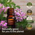 Gya Labs Organic Rose Geranium Essential Oil for Skin - Organic Geranium Essential Oil for Diffuser - Rose Geranium Essential Oil Organic for Arom...