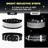 Bling Rhinestone Dog Collar Soft Comfortable Stylish Dog Collar with Bright Reflective Stripe Premium Adjustable Diamond Crystal Pet Collar for Sm...