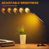 Desk Lamp for Office Home, 5W USB Amber LED Clip on Light, Flexible Gooseneck Clamp Light, 5 Brightness Levels, 4/8/12/18H Auto Timer, Eye-Caring ...