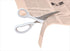 Raymay Fujii SH120 Scissors, Swing Cut, Titanium Coat, 7.2 inches (182 mm)...