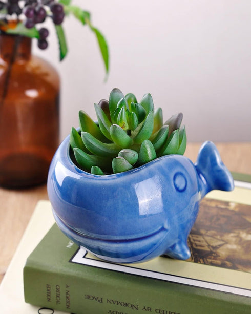 VanEnjoy 5" Ceramic Succulent Pot, Cute Ocean Blue Seashell Series, Conch Shaped Cactus Pot Planter, Flower Pot, Pottery Bonsai Pot (Dark Blue Wha...
