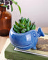 VanEnjoy 5" Ceramic Succulent Pot, Cute Ocean Blue Seashell Series, Conch Shaped Cactus Pot Planter, Flower Pot, Pottery Bonsai Pot (Dark Blue Wha...