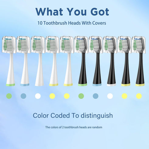 Replacement Toothbrush Heads for AquaSonic Duo Series, 5 White & 5 Black Brush Heads with Covers...