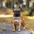 Bling Rhinestone Dog Collar Soft Comfortable Stylish Dog Collar with Bright Reflective Stripe Premium Adjustable Diamond Crystal Pet Collar for Sm...