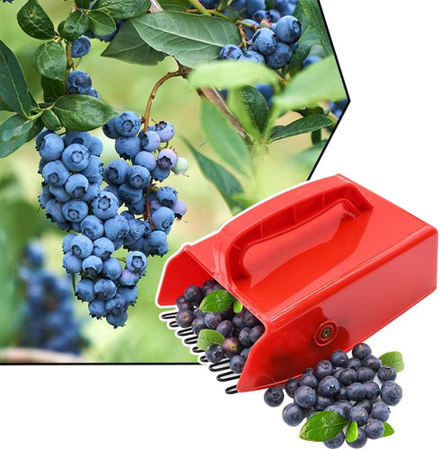 1/2/4 Pack Berry Picker, Berry Pickers and Rakes with Metallic Comb and Ergonomic Handle for Easier Berry Picking, Blueberry Rake Scoop for Bluebe...