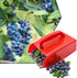 1/2/4 Pack Berry Picker, Berry Pickers and Rakes with Metallic Comb and Ergonomic Handle for Easier Berry Picking, Blueberry Rake Scoop for Bluebe...