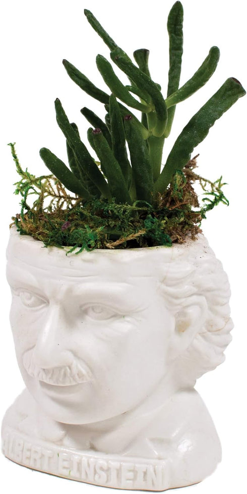 The Unemployed Philosophers Guild Albert Einstein Bust Ceramic Planter...
