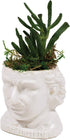 The Unemployed Philosophers Guild Albert Einstein Bust Ceramic Planter...