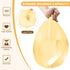 5 Rolls Small Trash Garbage Bags, 2.6 Gallon Strengthen Trash Bags, Durable Plastic Bags for Kitchen Office Home Bedroom Garden Waste Bin, Fit 10 ...