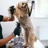 1Pack 10 Blade Dog Groomg Blades Compatible with Pet Clipper/Oster A5/Wahl KM Series Dog Clipper,Ceramic Blade & Stainless Steel Blade...
