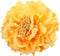 HC-01 Floral Fall Rose Flower Hair Clip Flamenco Dancer Pin up Flower Brooch (Dark Yellow)...