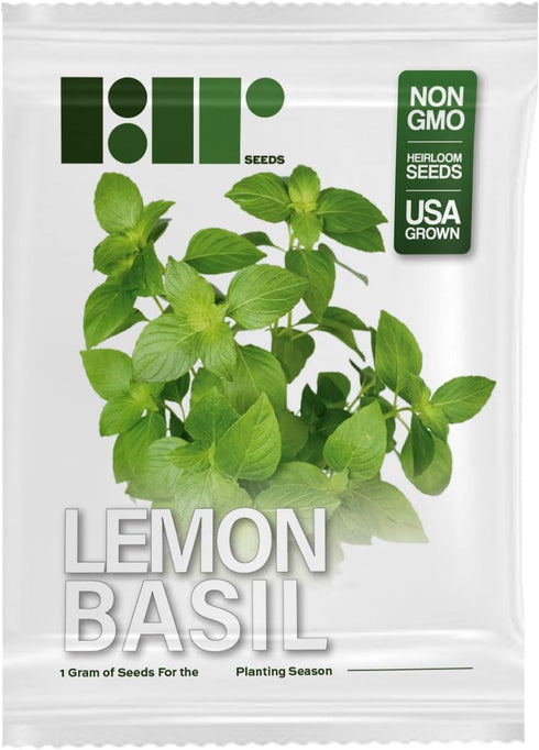 Lemon Basil Seeds For Planting - Lemon Scent Basil, Thai Lemon Basil, Lao Basil, Hoary Basil, Ocimum Basilicum - Approx 1 Gram - by RDR Seeds...