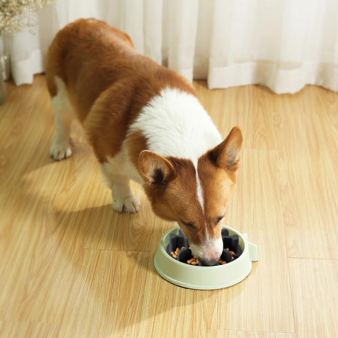 Slow Feeder Dog Bowls Insert, Animire Soft Silicone Anti-Choking Puzzle Slow Feeder, Anti-Slip Slow Down Eating Feeder Insert, Compatible with Reg...