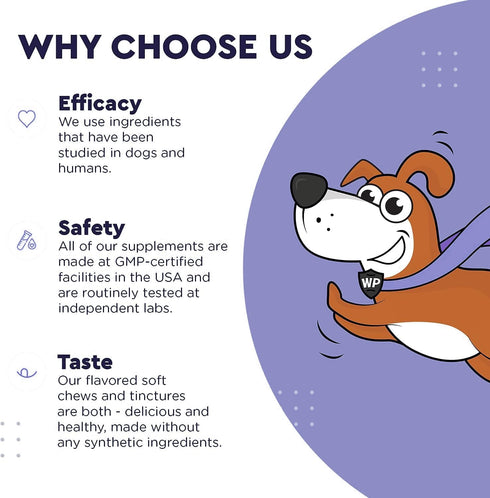 Premium DMG for Dogs – DMG Liquid to Support Immune Health, Skin, Stamina, Muscles, Stress & Performance - Dimethylglycine (DMG) for All Ages, Siz...