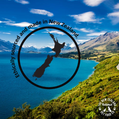 WOOF Air Dried Dog Treats - Chicken Wing Tip, High Protein, Dog Treats Small Dogs and Dog Treats for Large Dog, Natural, Topper or Dog Treat, 1.76...