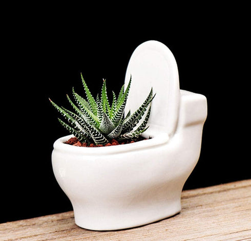 Ceramic White Toilet Plant Pot/Bonsai Pot/Flower Pot/Succulent Planter 4.6" Ideal Gifts for Women, Mom or Birthdays...