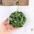 Factory Direct Craft Hanging Mistletoe Ball Made of Artificial Green Poly Silk Leaves with Multiple Artificial White Berries...