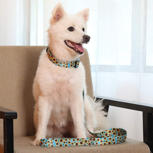 2PCS Sunflower Dog Collars and Pet Floral Leash Set Puppy Adjustable Collars for Small Medium Large Dogs Boys Girls (Large)...