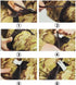 Tourniquet ?Outdoor Mountaineering Camping Adventure? Military Tourniquets One-Handed?Life Saving Equipment?for Military/Camping/Hunting/Hiking (2...
