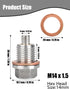 Magnetic Oil Drain Plug M14 X 1.5MM 2 PCS, Stainless Steel Engine Oil Drain Plugs with 4 Pcs Copper Gasket Anti Leakage Replacement for Most Ford ...