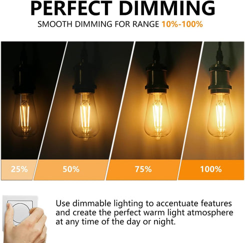 BORT ST58/ST19 Vintage LED Edison Bulbs, Warm White 2700K, Dimmable 6W Edison Light Bulbs, 60W Equivalent, 700LM, E26 Standard Base Filament LED B...