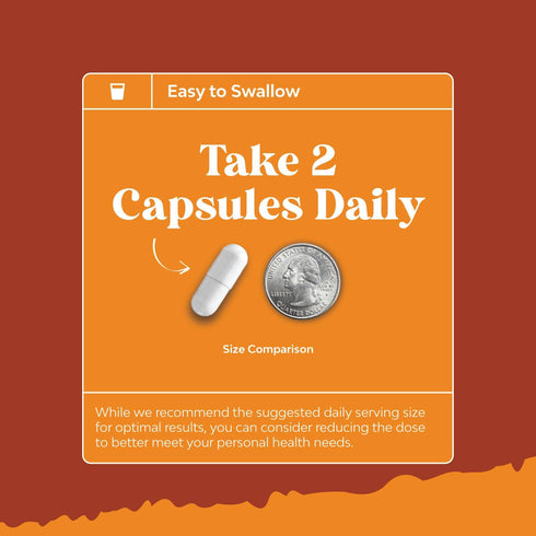 Natural White Kidney Bean Extract - White Kidney Bean Energy Booster AMPK Activator and Antioxidant Capsules - Digestive Health Dietary Fiber Supp...