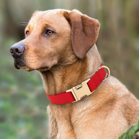 PET ARTIST Soft & Comfy Girl Dog Collars, Bright & Classic Christmas Red Dog Collar Leather for Medium Dogs, Durable & Heavy Duty Nylon Dog Collar...