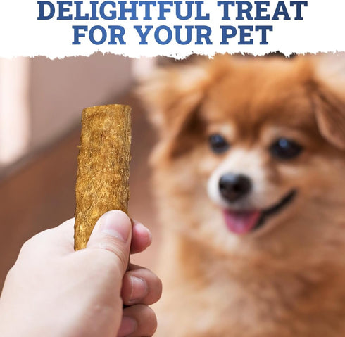 CHEWSAFE Premium Rolls Dog Chew Treats Beef Flavor Highly Digestible for Small Dogs, Pet Chew Treats Satisfy Dogs Natural Desire to Chew, Promote ...