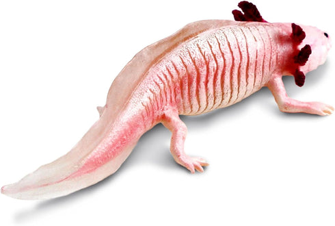 Safari Ltd. Axolotl Figurine - Realistic 7" Model Figure - Educational Toy for Boys, Girls, and Kids Ages 3+...
