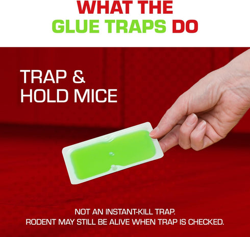 Tomcat Super Hold Glue Traps Mouse Size for Mice, Cockroaches, Spiders, and Scorpions, Ready-To-Use, 4 Traps...
