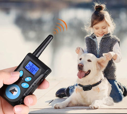 Dog Training Collar with Remote for Small Medium Large Dogs Rechargeable Waterproof Shock Collar with Beep (1-8) Safe Shock(1-99)...