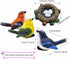 1 Set Mini Bird Decoration Micro Landscape Bird Moss Landscape Ornament Resin Bird's Nest Egg Fairy Animal Cute Model for Garden Micro Landscape H...