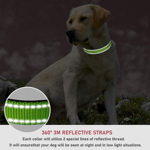 Reflective Dog Collar with Buckle Adjustable Safety Nylon Collars for Small Medium Large Dogs, Grass Green M...