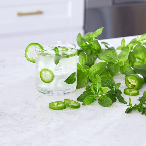 Back to the Roots 41032 Starter Kit-Cocktail Garden...