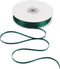 HUIHUANG Solid Color Satin Ribbon 1/8 inch x 100 Yards Roll Ribbon for Crafts (Hunter Green)...