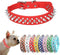 Spiked Dog Collar Leash Set Leather Strap Mushroom Rivet Spiky Stud Spike Studded Pet Cat Xs Small Medium Large Dogs Girls Puppy Boy Terrier Kitte...