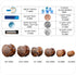 COOEAR 14PC 7 Pairs Stone Ear Plugs Double Flare Saddle Stretching Gauges Expander Stretchers 2G(6mm)-5/8"(16mm)...