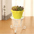 Angoily Metal Plant Stand Metal Potted Plant Stands Iron Round Flower Pot Stands Indoor Outdoor Plant Holder Support Rack for Planter Flowerpot Wh...