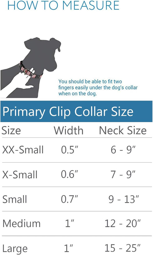 RC Pets Primary Collection 1" Dog Clip Collar, Medium, Dark Teal...