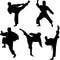 Amaonm Creative Vinyl Sport Taekwondo Wall Decor Player Silhouette Decals - Removable DIY Baby Nursery Bedroom Living Room Home Stickers Murals Ar...
