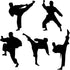 Amaonm Creative Vinyl Sport Taekwondo Wall Decor Player Silhouette Decals - Removable DIY Baby Nursery Bedroom Living Room Home Stickers Murals Ar...