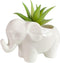 Cute Animal Elephant Shaped Ceramic Succulent Cactus Air Plant Flower Pots Planters-Plant Not Included (Small White)...