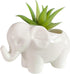 Cute Animal Elephant Shaped Ceramic Succulent Cactus Air Plant Flower Pots Planters-Plant Not Included (Small White)...