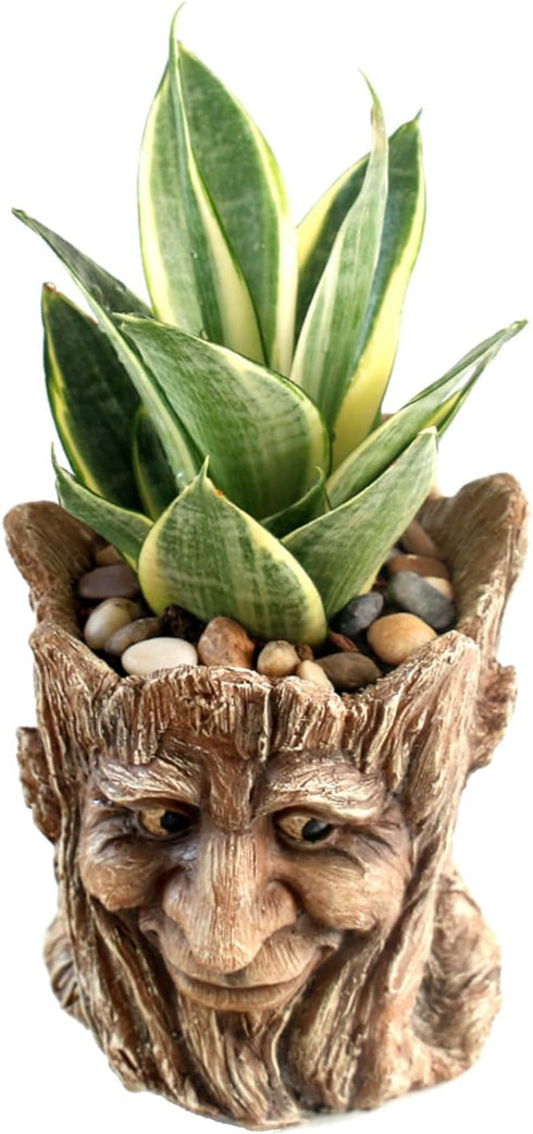 Funny Planter Head Face Plant Pot with Drainage Hole Resin Succulent Plant Holder Pencil Holder Desk Organizer Office Garden Gift (Smile Face)...