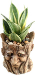 Funny Planter Head Face Plant Pot with Drainage Hole Resin Succulent Plant Holder Pencil Holder Desk Organizer Office Garden Gift (Smile Face)...