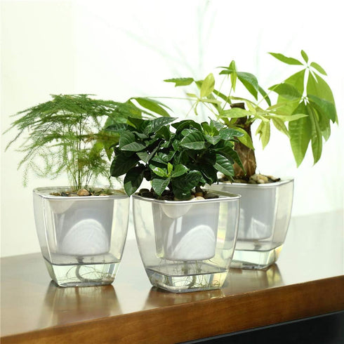 Self Watering Planter , FENGZHITAO African Violet Pots, Clear Plastic Automatic-Watering Planter Flower Pot Square Plant Pot for All House Plants,...