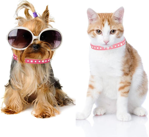 Puppy Collar and Leash with Bling Diamond, Pretty Crystal Sparkly Rhinestone Glitter Jewel Girls Cat Collars for XXS Xs Small Medium Pet Female Do...